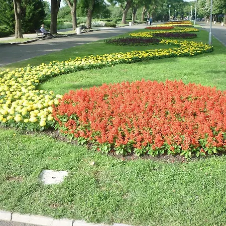 Appartamento Sea Garden Plaza - Free Parking *